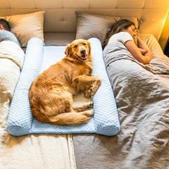 DenMate lit chien bleu avec flancs coton pour un soutien nocturne.