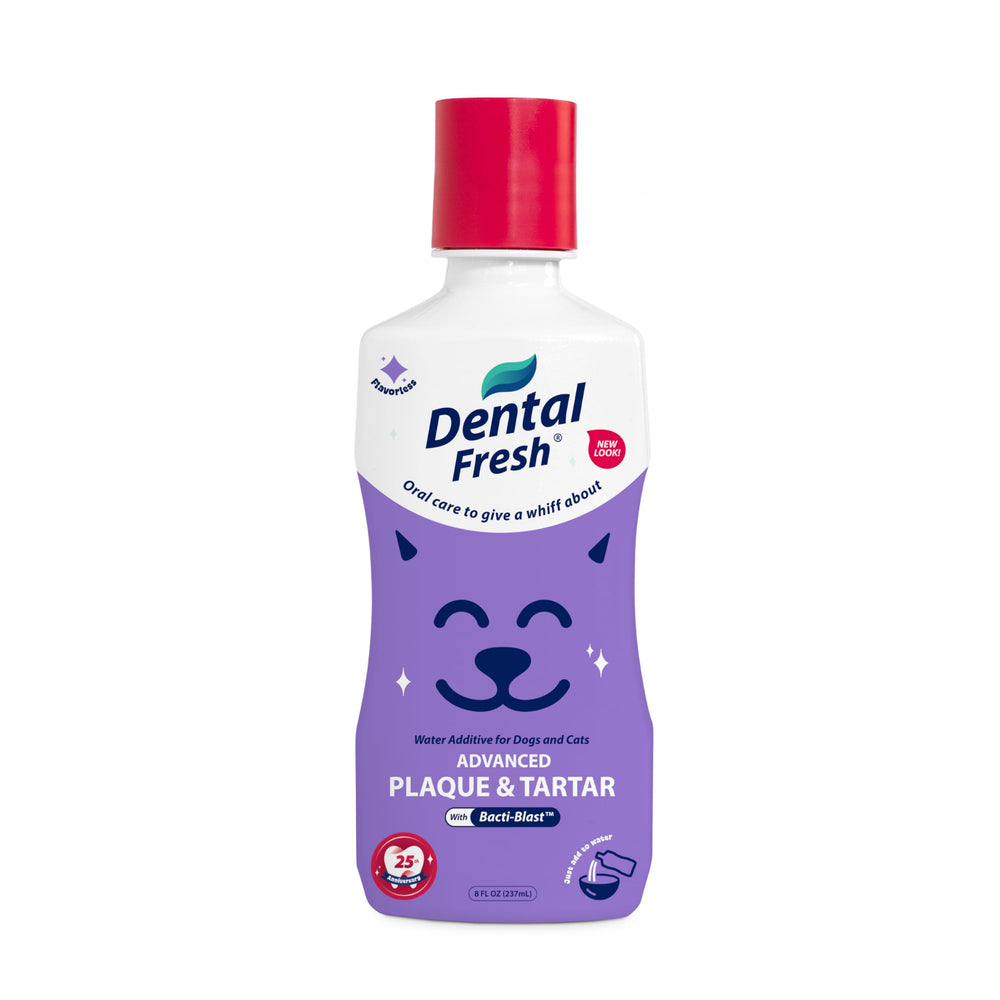 Dental Fresh Additif Eau Flacon: solution neutre pour soins buccaux sans brossage.