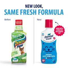 Dental Fresh: chat boit l’eau additivée au thon dans le bol.