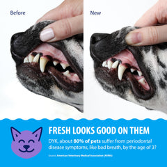 Dental Fresh – eau sans goût pour une hydratation neutre et efficace
