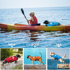 DENTRUN gilet grand chien, mousse EPE pour flotabilité optimale
