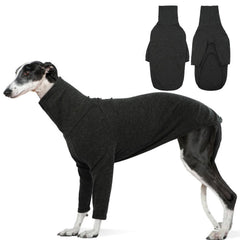 Pull DENTRUN pour lévrier italien, col roulé, chaleur idéale pour promenades