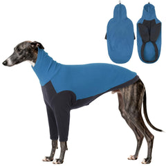 DentRun pull polaire pour le Lévrier anglais, chaleur douce lors des promenades hivernales.