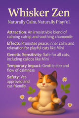 DesertUSA Whisker Zen, tapis d’activité chat pour stimulation et détente.