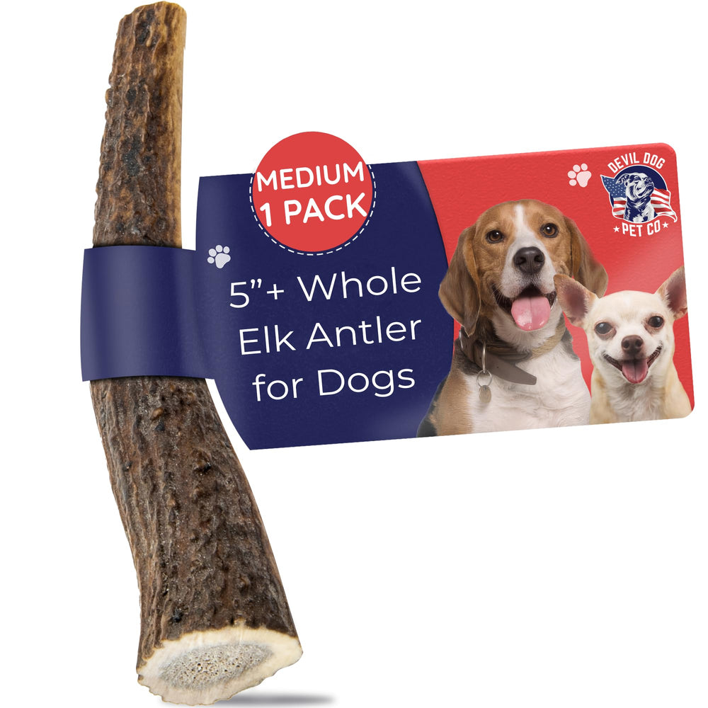 Devil Dog Pet Co panache de wapiti moyen, os durable pour chiens actifs