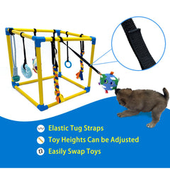 Dewonch Gym montre la suspension bungee réglable pour jeux autonomes.