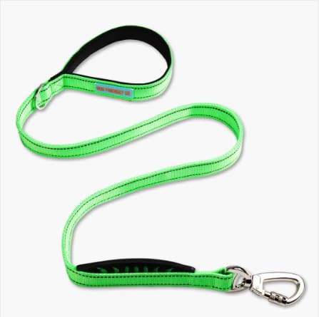 La DF Co Classic Laisse avec poignee néoprène pour une prise confortable et contrôle précis.