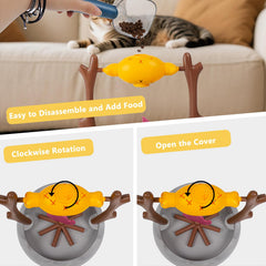 DFQ stimulation-mentale-chat-rotation : engagement cognitif lors du jeu