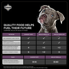 Diamond Puppy - probiotiques et antioxydants pour digestion et immunité.