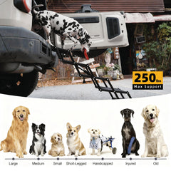 Dicprms Marches chien pliables compactes - rangement pratique dans le coffre.