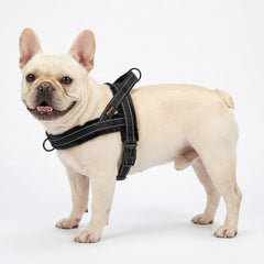 Harnais Didog à ajustement rapide avec une seule boucle pour enfiler facilement.