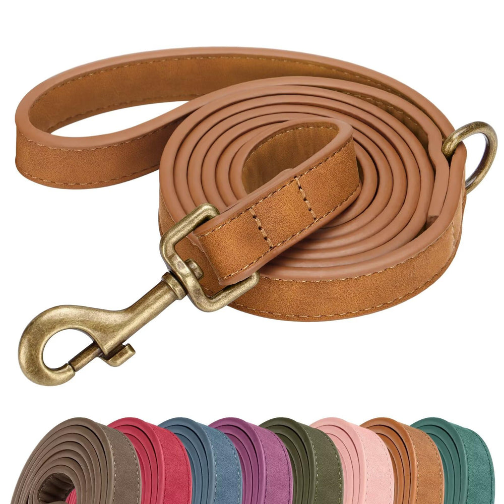 Laisse Didog en PU cuir stylée pour petit chien, idéale pour les balades quotidiennes.
