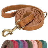 Didog laisse en PU mode luxe 5ft pour promenades élégantes et maîtrisées.
