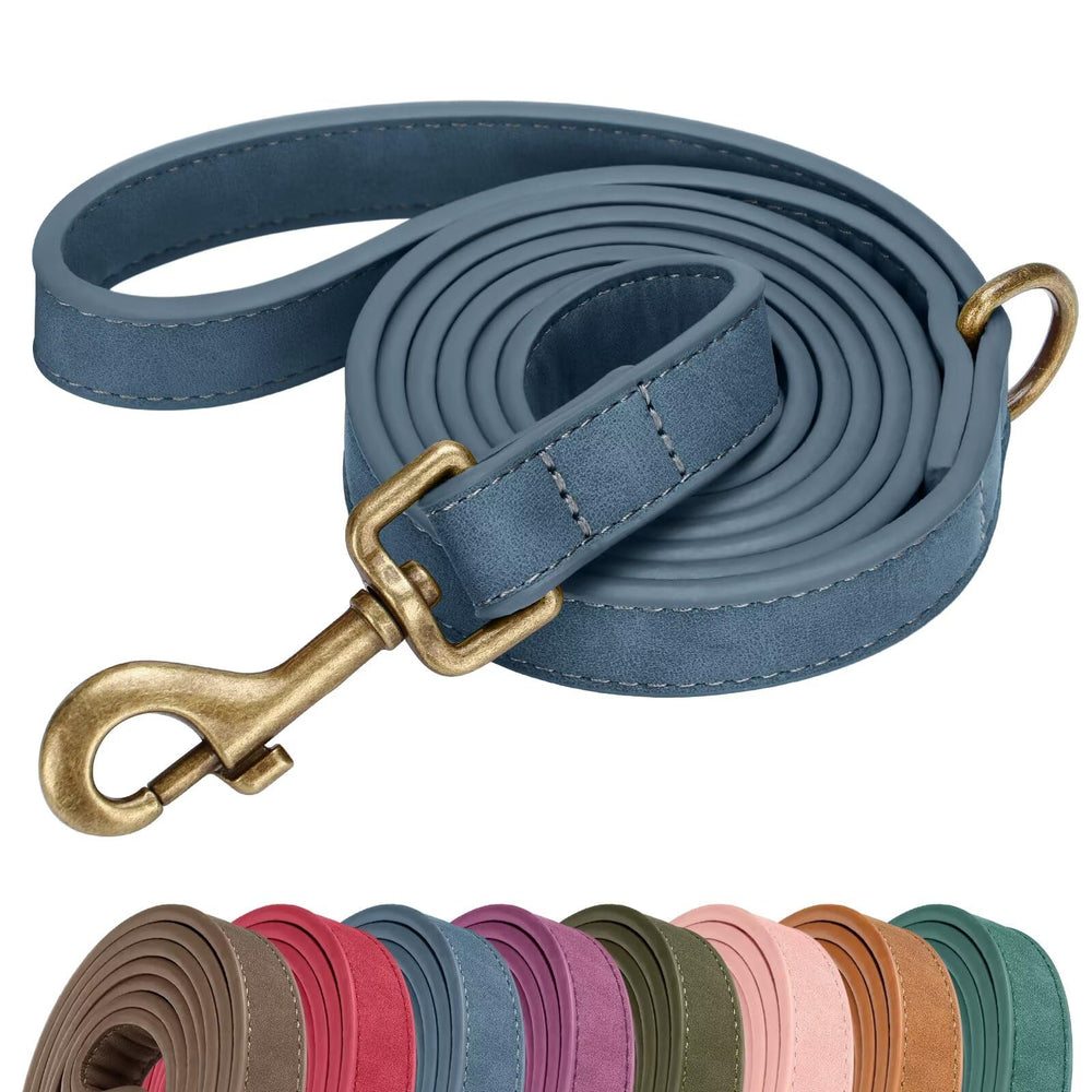 Laisse Didog PU bleu, modèle moyen, design élégant et facile à nettoyer.