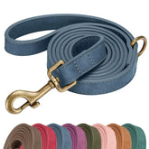 Laisse Didog PU bleu, modèle moyen, design élégant et facile à nettoyer.