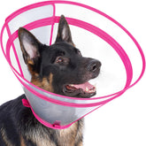 Didopet collier récupération rose vif, vue à 360° pendant la récupération.