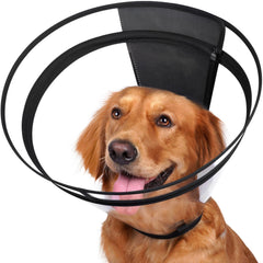 Didopet Cône Transparent XL-Long pour chien, visibilité améliorée et confort.
