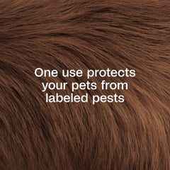 Dilution correcte du Dip ADAMS pour chien et chat