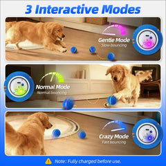 Diman balle en action montrant les 3 modes de jeu stimulants.