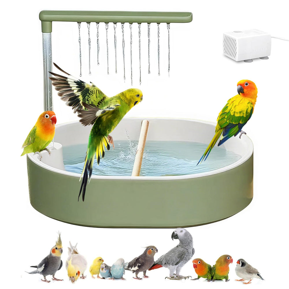 DINTSTYLE: perroquet dans sa baignoire électrique intérieure pour un bain confortable.