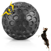 Balle DISSKNIC sifflet indestructible pour gros chien, sessions dynamiques.