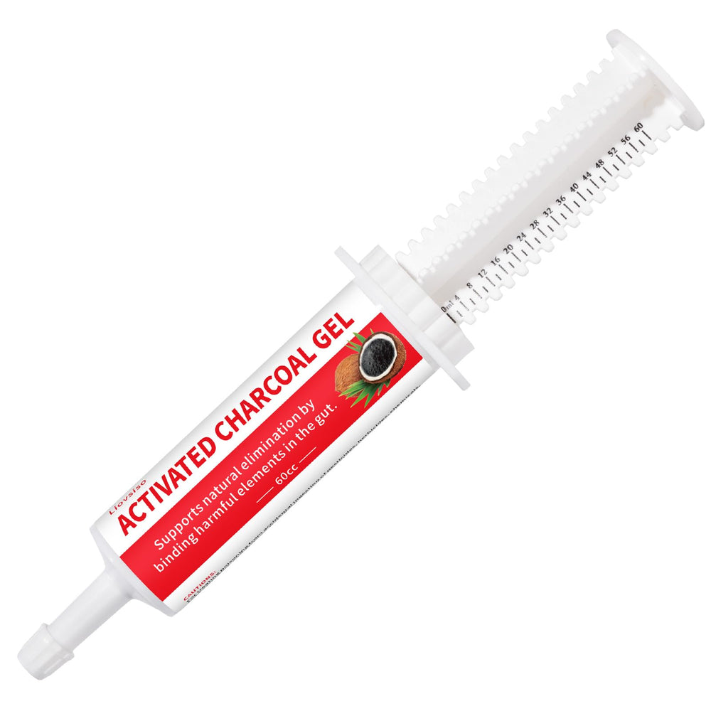 Diytoolsman Charbon actif chien-chat, tube 60cc, absorption rapide des toxines.