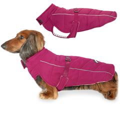DJANGO gilet chien hibiscus rose: chaleur et style pour l'hiver.