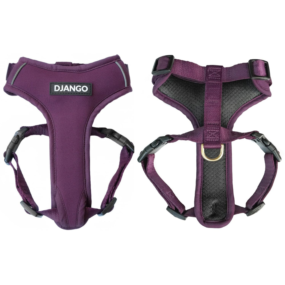 DJANGO harnais aventure pour chien moyen, vue frontale, confort optimal lors des promenades.