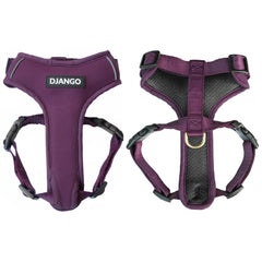 DJANGO harnais aventure pour chien moyen, vue frontale, confort optimal lors des promenades.