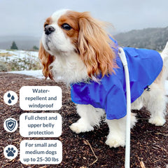 DJANGO Highland doublure rayee chaleur confortable lors des promenades.