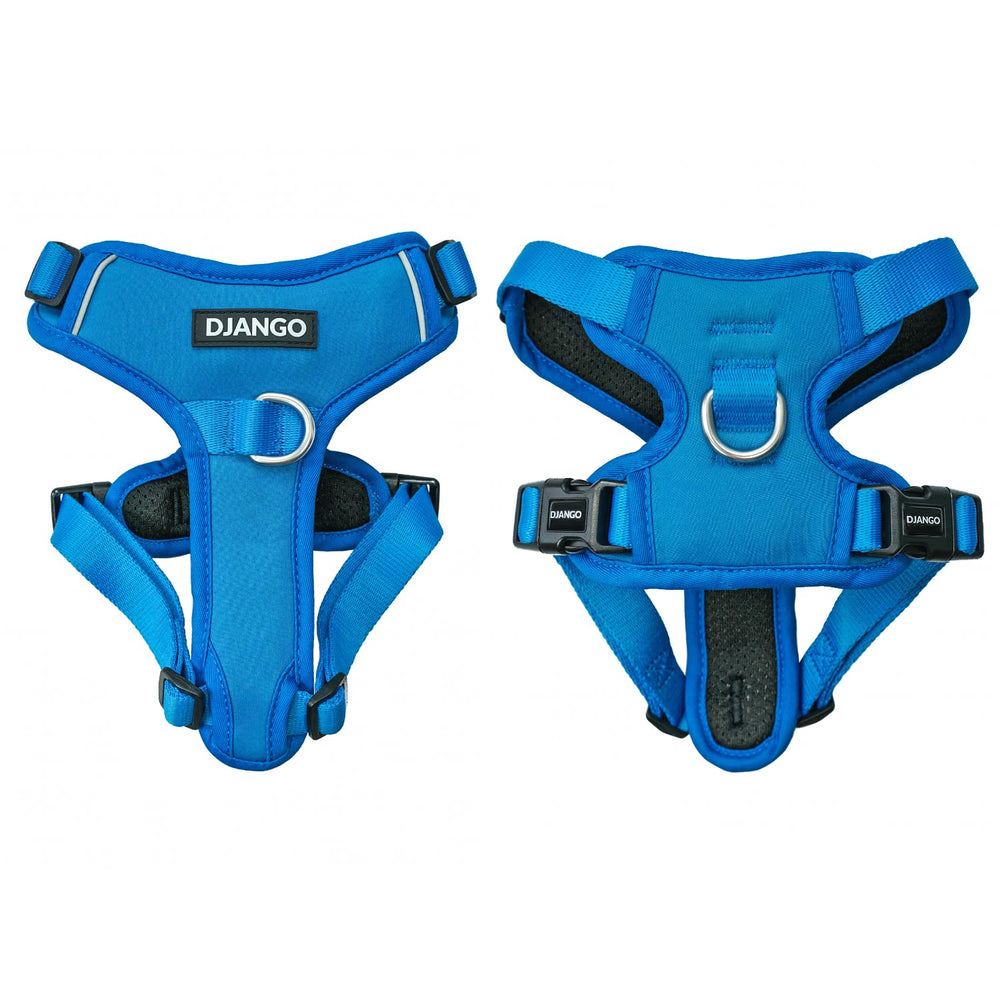 Harnais Django Tahoe Alpine Blue – vue avant, confort et sécurité pour les promenades.