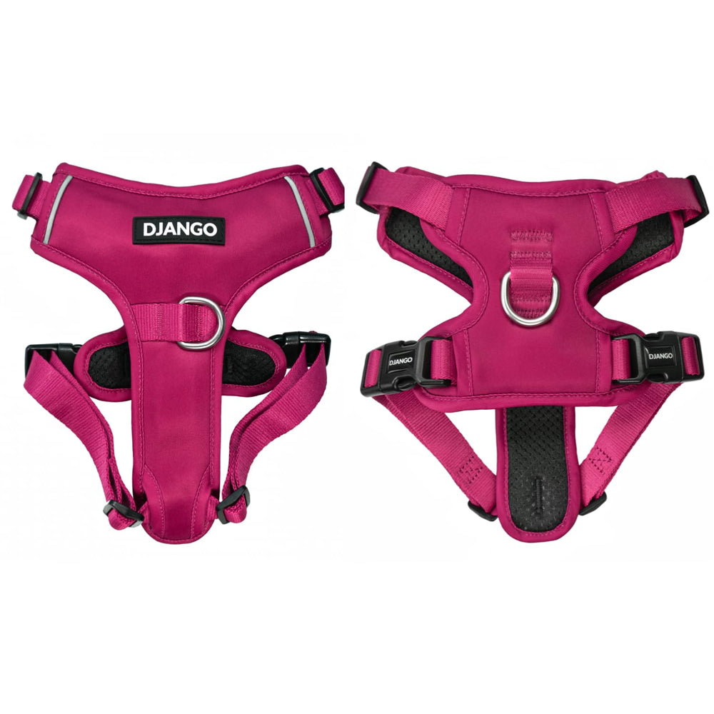 DJANGO Tahoe harnais sans traction avec fermeture poitrine sécurisée pour chiens actifs.