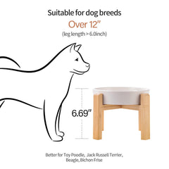 Bol DJJJOOYS céramique 21 cm, idéal pour chiens moyens et grands