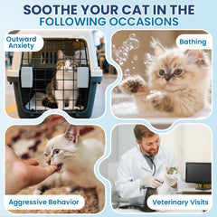 DKFGJRGHSJ ingredients-naturels-chat-serein-mobilite: formulation naturelle soutient la mobilité.