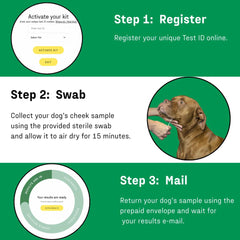 DNA MY DOG : certificat DNA téléchargeable pour votre dossier canin