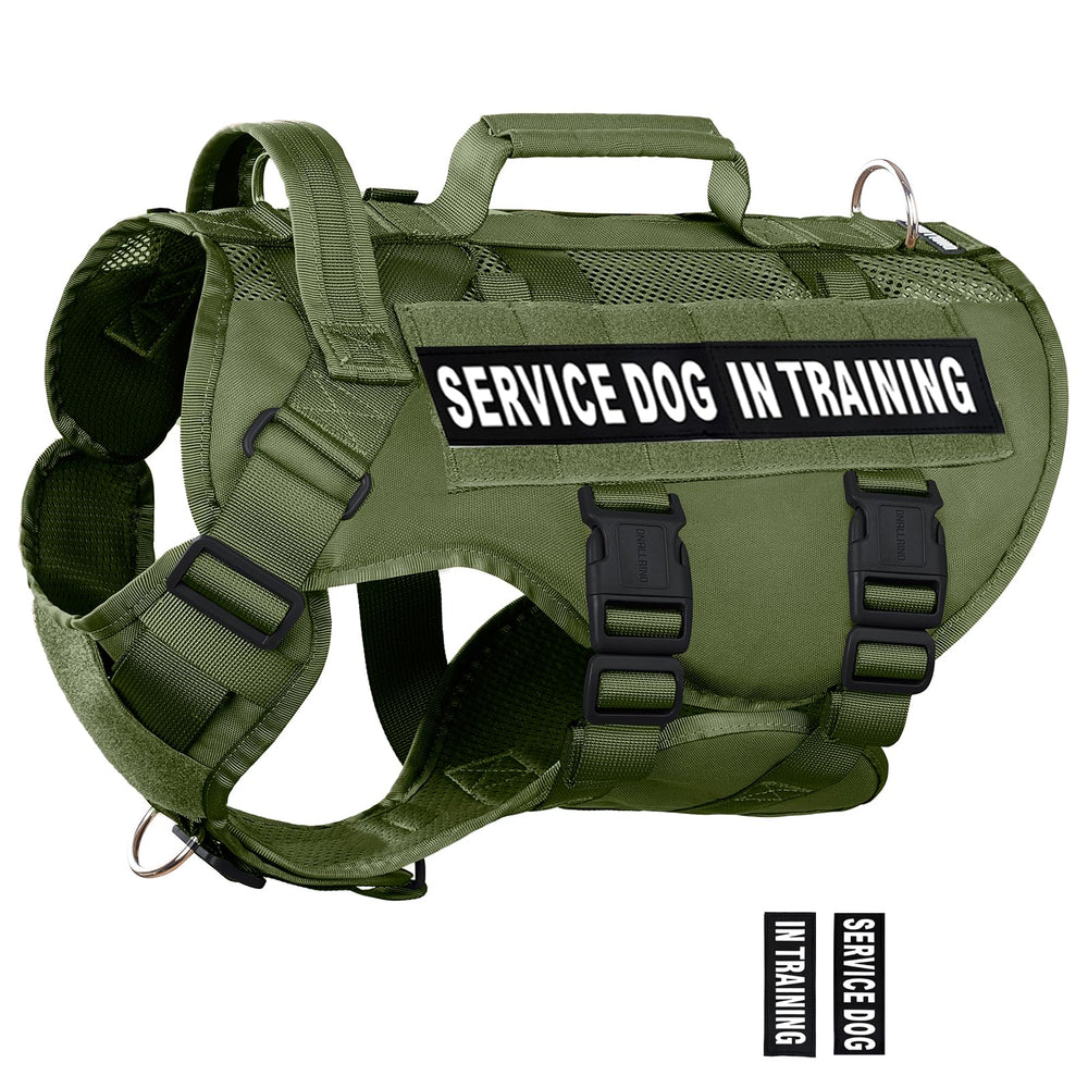 Veste-service DNALLRINO pour chien grande taille, confort durable lors des entraînements.