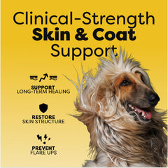 DocItchy friandises-chien, texture appétente et pelage brillant.