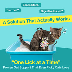 Doctor By Cat Biome Probiotiques: emballages individuels, dosage pratique pour chats.