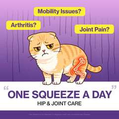 Docteur By HJ Care : ces friandises saumon soutiennent la mobilité du chat.
