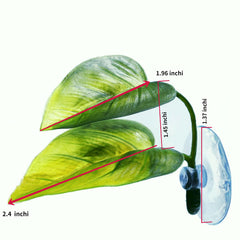 Feuille DODOAQUA avec ventouse assure une fixation stable dans l’aquarium.