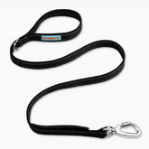 Dog Friendly Co – Longe avec poignee neoprene offrant un confort lors des promenades.