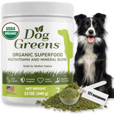 Dog Greens poudre-sante-chien dans le bol, énergie et vitalité potentielles