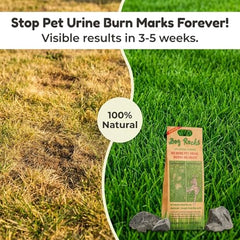 Réduction des brûlures et taches sur gazon grâce à Dog Rocks dans l’eau du chien.