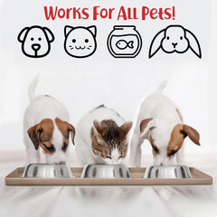 Facilité d’entretien du tapis DogBuddy grâce à sa surface lisse et résistante.