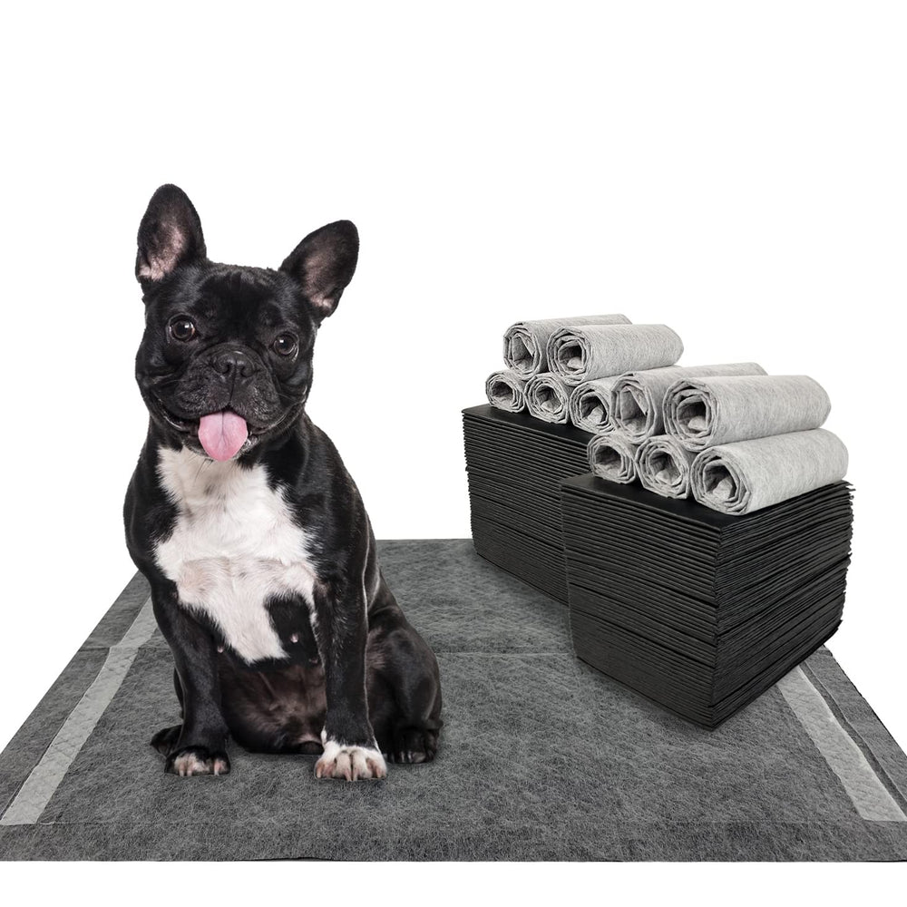 Dogcator tapis chiot 22x22 pack: absorbant et pratique pour l'entraînement