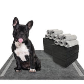 Dogcator tapis chiot 22x22 pack: absorbant et pratique pour l'entraînement