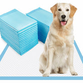 Dogcator tapis-pipi grand 28x34, idéal pour apprentissage en intérieur.
