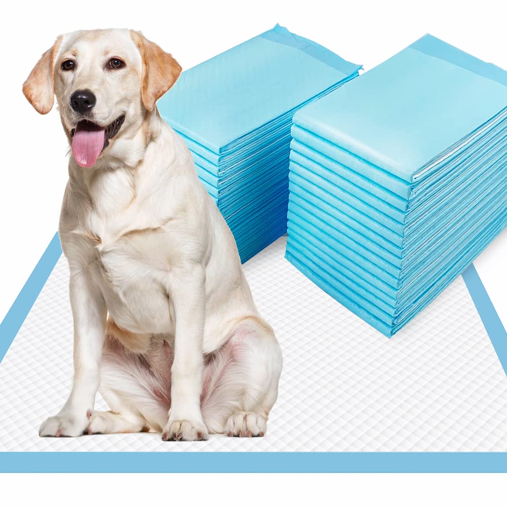 Dogcator XL tapis-pipi ultra absorbant pour chien, réduction des éclaboussures.