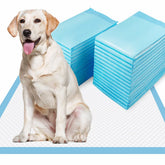 Dogcator XL tapis-pipi ultra absorbant pour chien, réduction des éclaboussures.