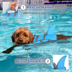 Dogcheer bandes-reflechissantes-chien : visibilité accrue au lever et au coucher du soleil.
